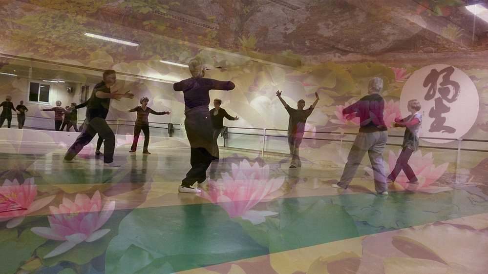 qi gong villers les nancy