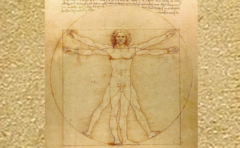 l'homme de vitruve